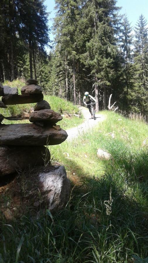 Ferienwohnungen Fryba Bad Kleinkirchheim Εξωτερικό φωτογραφία